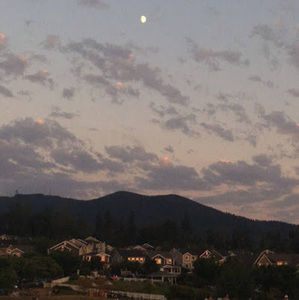 Meet your Posher, Aarya